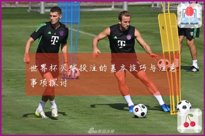 世界杯买球投注的基本技巧与注意事项探讨