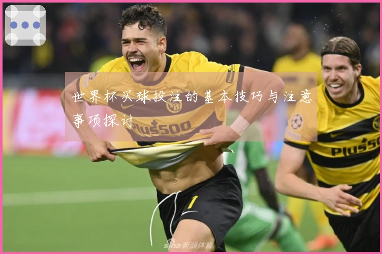 世界杯买球投注的基本技巧与注意事项探讨