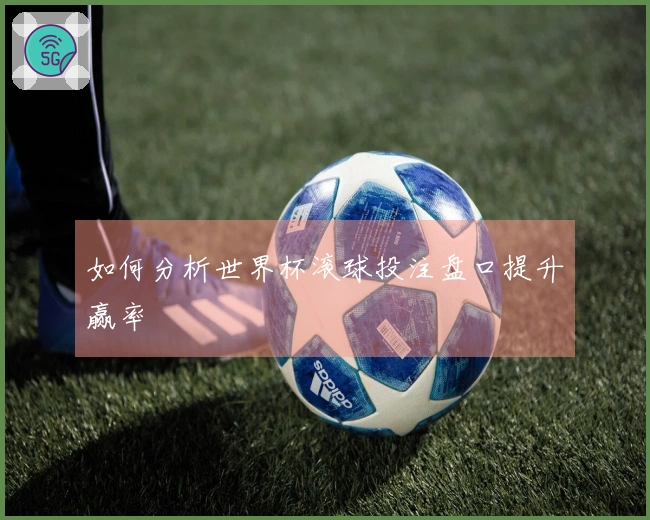 如何分析世界杯滚球投注盘口提升赢率