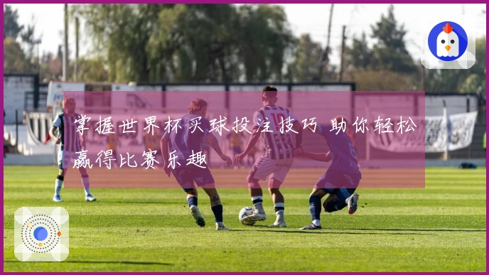 掌握世界杯买球投注技巧 助你轻松赢得比赛乐趣
