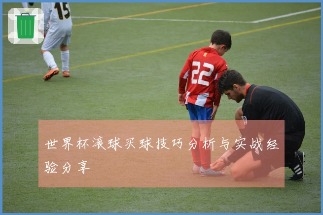 世界杯滚球买球技巧分析与实战经验分享