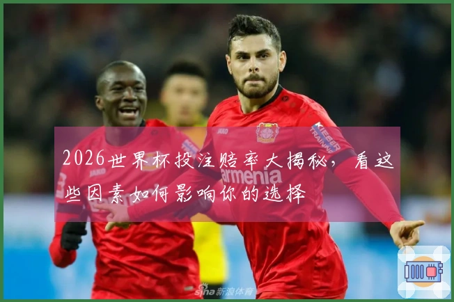 2026世界杯投注赔率大揭秘，看这些因素如何影响你的选择