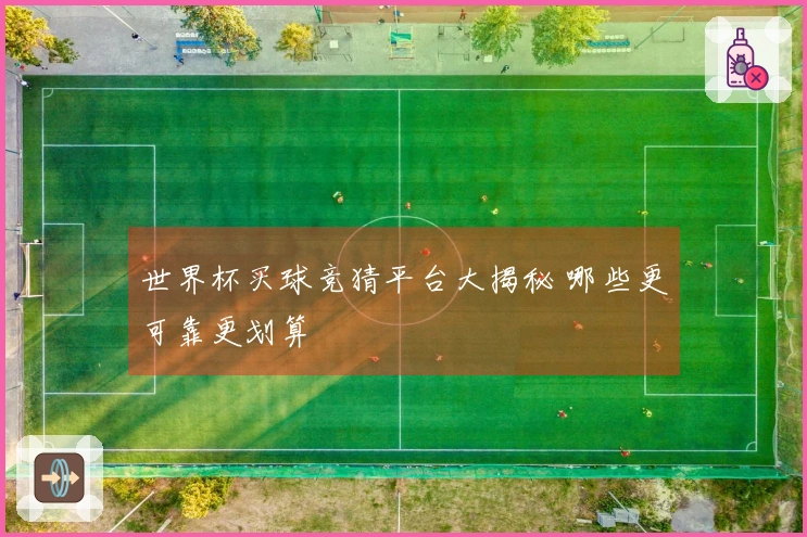 世界杯买球竞猜平台大揭秘 哪些更可靠更划算