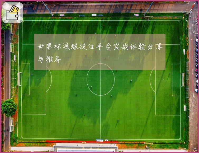 世界杯滚球投注平台实战体验分享与推荐