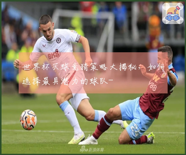 世界杯买球竞猜策略大揭秘，如何选择最具潜力的球队-