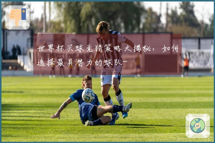 世界杯买球竞猜策略大揭秘，如何选择最具潜力的球队-