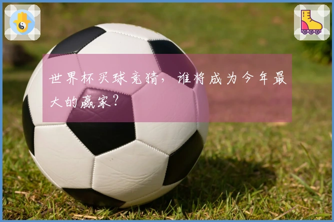 世界杯买球竞猜，谁将成为今年最大的赢家？