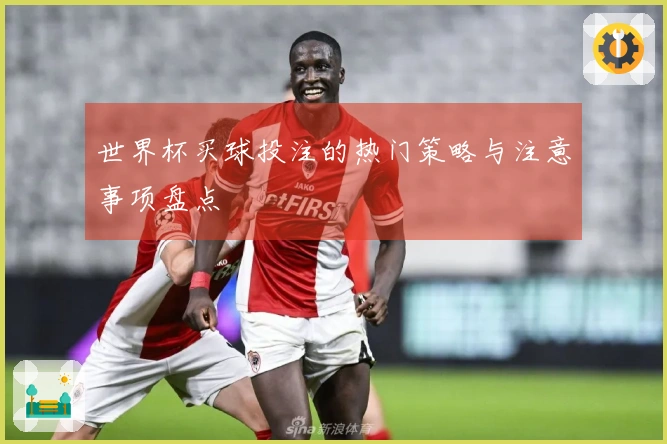 世界杯买球投注的热门策略与注意事项盘点