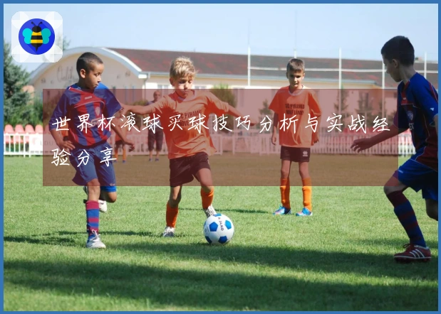 世界杯滚球买球技巧分析与实战经验分享