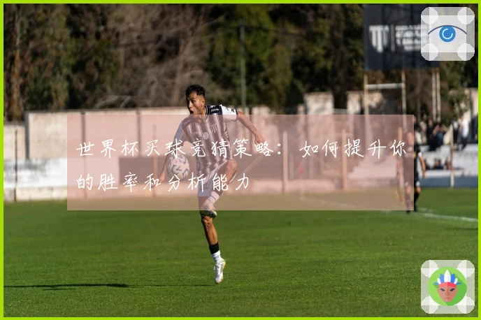 世界杯买球竞猜策略：如何提升你的胜率和分析能力