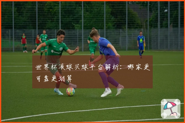 世界杯滚球买球平台解析：哪家更可靠更划算