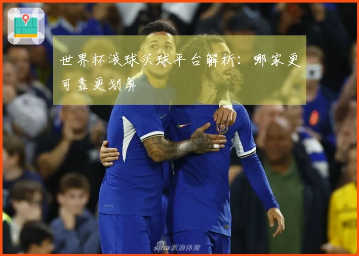 世界杯滚球买球平台解析：哪家更可靠更划算