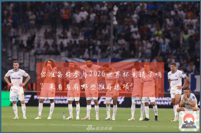 你准备好参与2026世界杯竞猜了吗？来看看有哪些推荐选项！