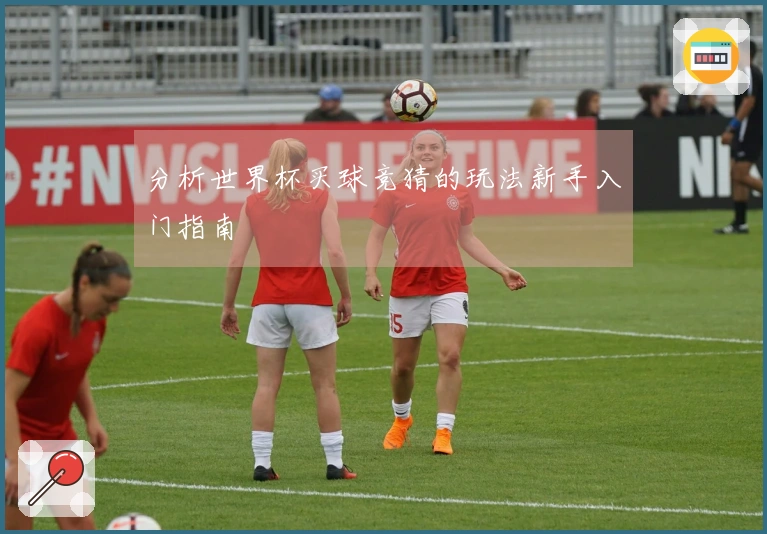 分析世界杯买球竞猜的玩法新手入门指南