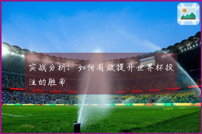 实战分析：如何有效提升世界杯投注的胜率