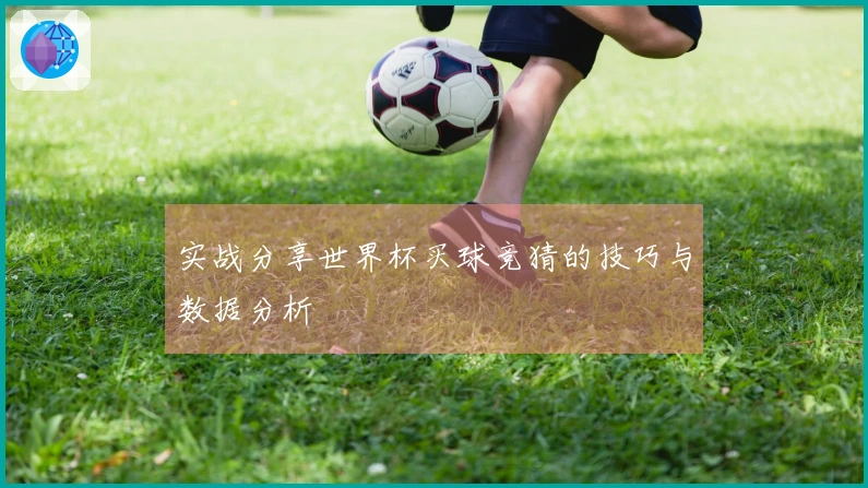 实战分享世界杯买球竞猜的技巧与数据分析